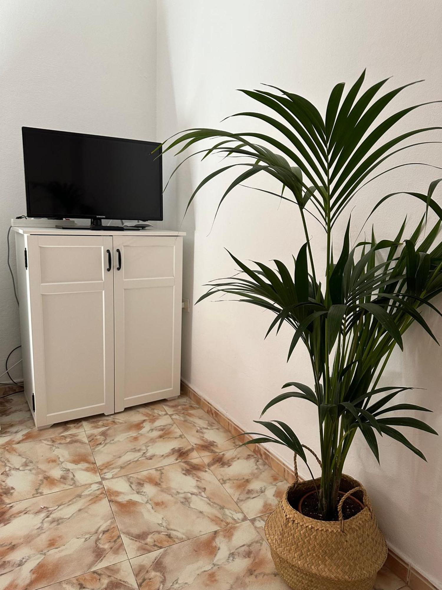 Apartamento Fortaleza Vallehermoso Exterior photo